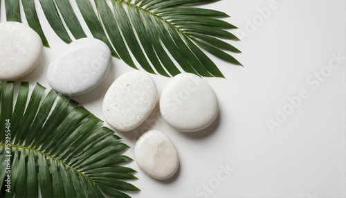 Elegant arrangement of white stones and palm leaves on a pristine background  viewed from above  perfect for a luxury spa or tropical summer product display