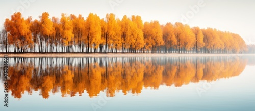 Tranquil Tree Line Casting ...