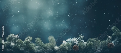 Spruce and Fir Coniferous E...