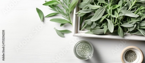 Sage Essential Oil Bottles ...