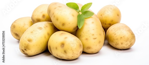 Organic Harvest: Fresh Pota...