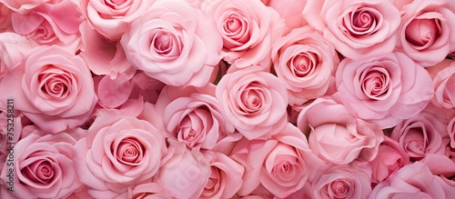 Radiant Pink Roses Bouquet in a Fresh Spring Arrangement for Floral Design