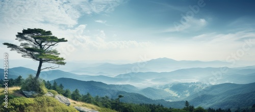 Solitude at the Summit: Maj...