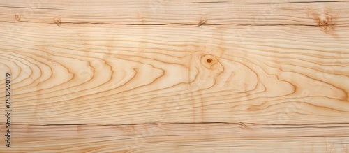 Rustic Wood Texture Backgro...