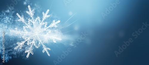 Tranquil Snow-Covered Fores...