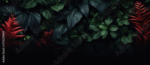 Vibrant Red and Green Leave...