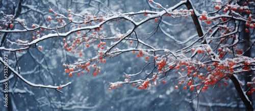 Vibrant Red Berries Brighte...
