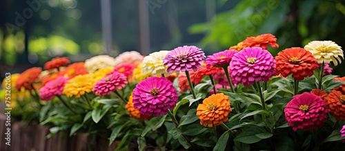 Vibrant Bouquet of Fresh Sp...