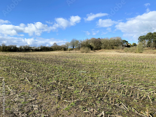 A view of the Cheshire Countryside at Peckforton Hills photo