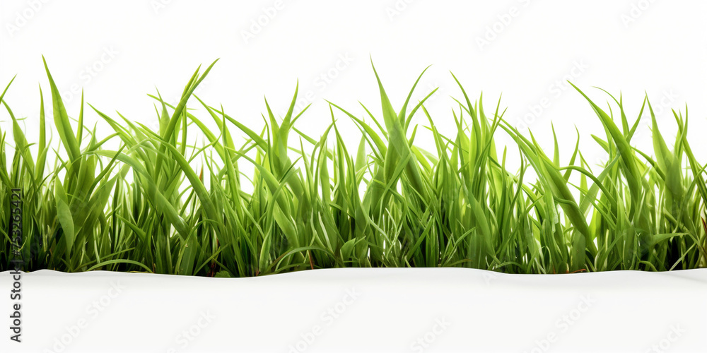 green grass on white background сreated with Generative Ai green grass on white background сreated with Generative Ai