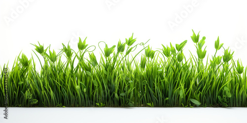 green grass on white background сreated with Generative Ai