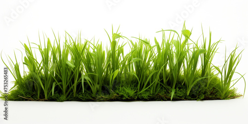 green grass on white background сreated with Generative Ai