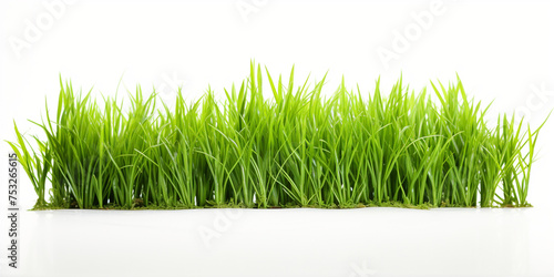 green grass on white background сreated with Generative Ai