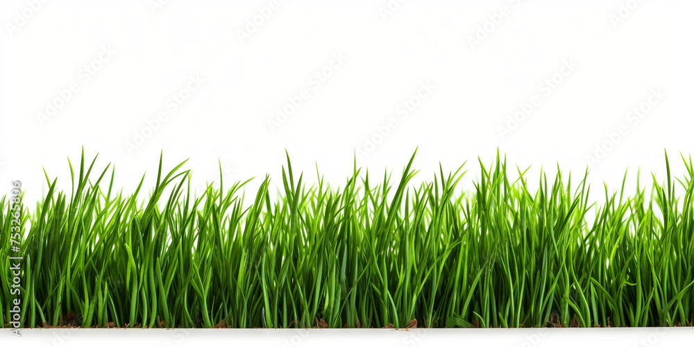 Fototapeta premium green grass on white background сreated with Generative Ai