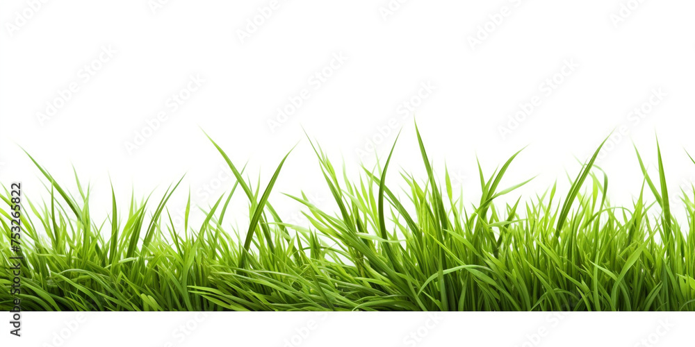 green grass on white background сreated with Generative Ai green grass on white background сreated with Generative Ai