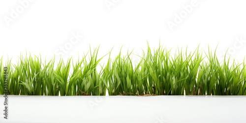 green grass on white background сreated with Generative Ai