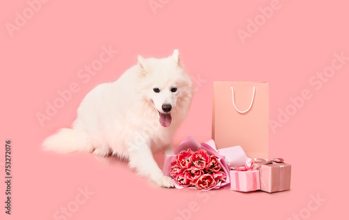 Cute Samoyed dog with beautiful tulip bouquet, gift boxes and shopping bag on pink background © Pixel-Shot