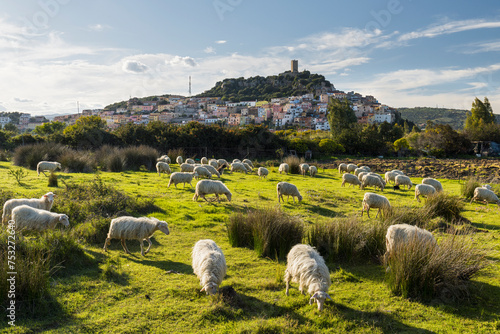 Tableau sur toile Schafe vor dem Castello della Fava, Posada, Sardinien, Italien
