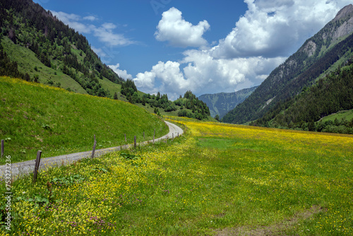 East Alpes at the Ferleiten area in Austria