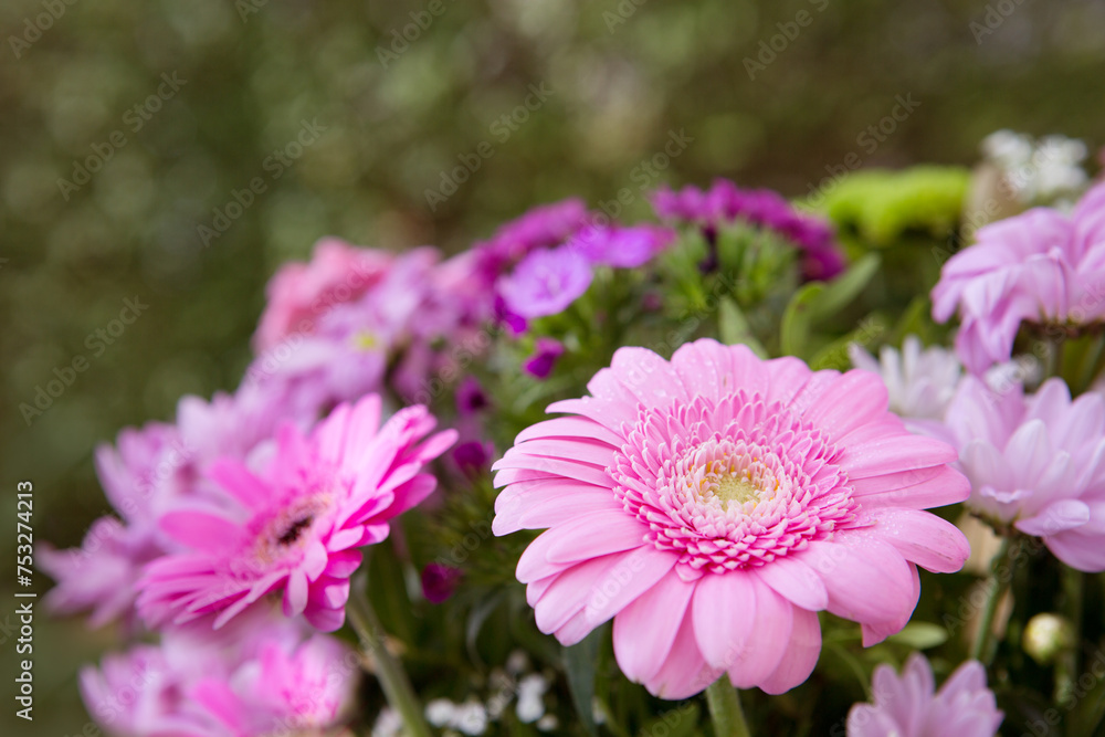 Obraz premium Colorful mixed flower bouquet isolated on blur green background.