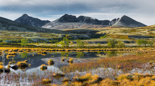 Sumpf  T  mpel  H  gronden Massiv  D  ralen  Rondane Nationalpark  Oppland  Norwegen