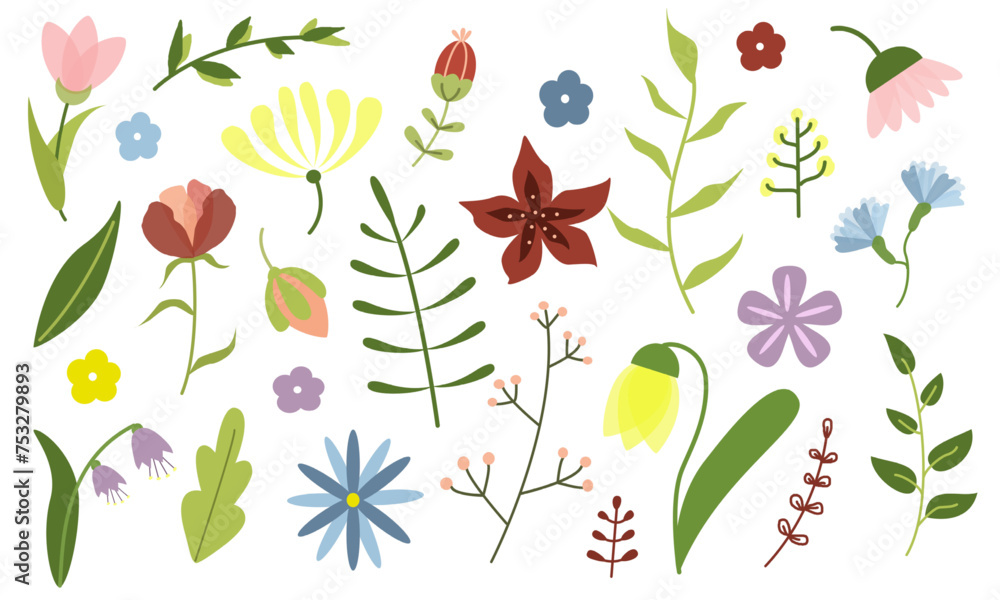  Spring art print with botanical elements and wildflowers.