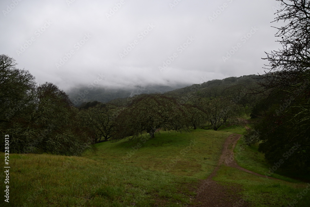 rain in the mountains rain in the mountains