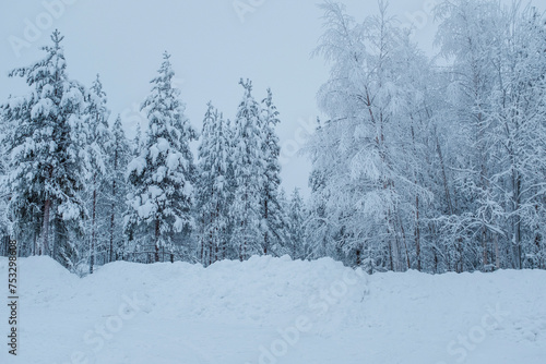 White snow covered forest landscape in Finnish lapland, Rovaniemi © jordieasy