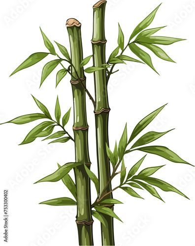 bamboo illustration isolated on transparent background. 