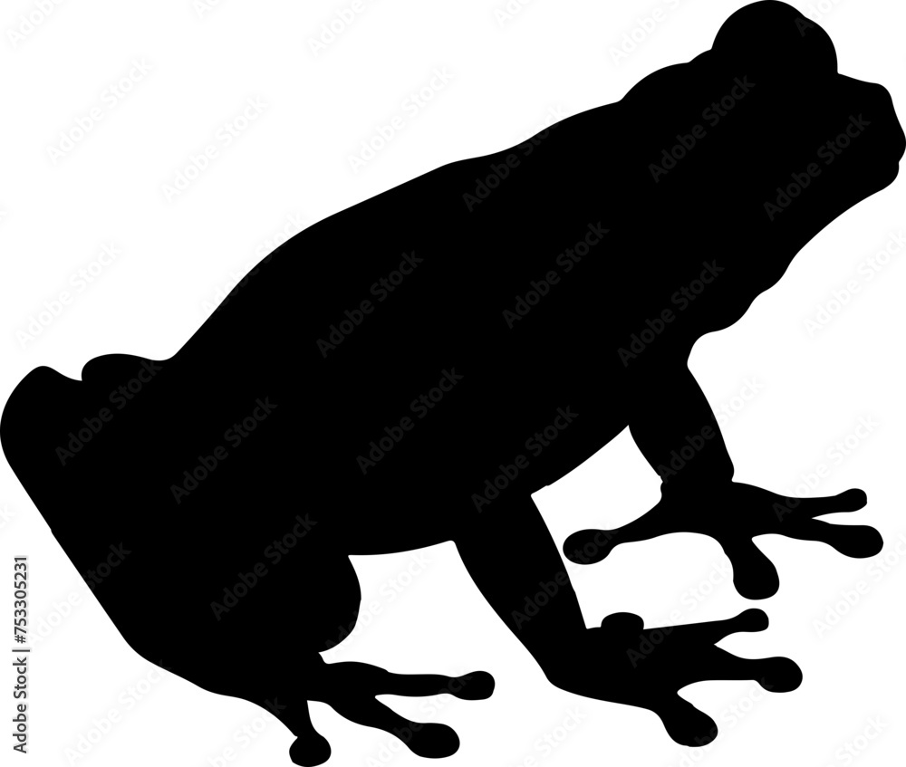 frog vector illustration isolated on transparent background.
frog vector illustration isolated on transparent background.