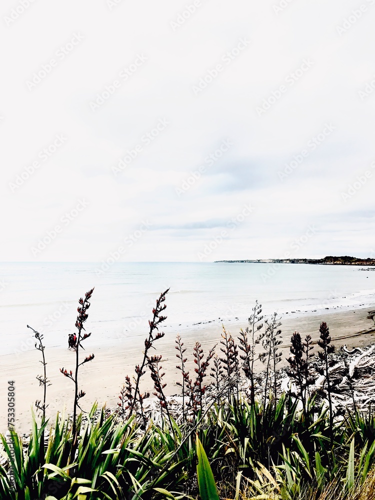 Beach, Taranaki, New Zealand