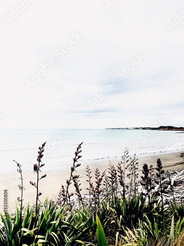 Beach  Taranaki  New Zealand