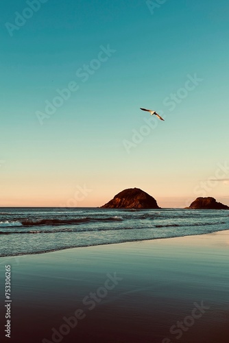  Back Beach, New Plymouth, New Zealand