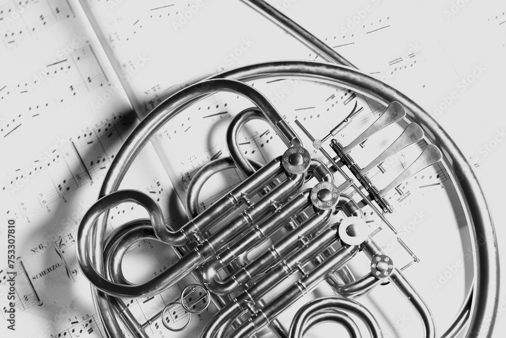 Obraz premium Elegant French Horn on Scattered Musical Scores in Monochrome Tone