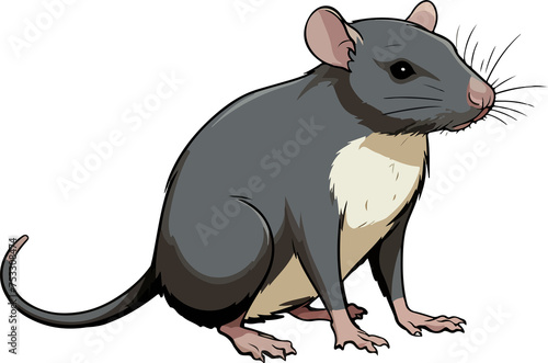 rat illustration isolated on transparent background. 
