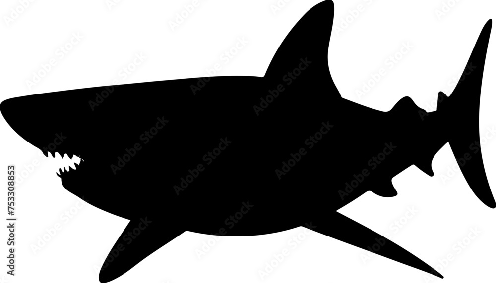 shark vector illustration isolated on transparent background.
shark vector illustration isolated on transparent background.