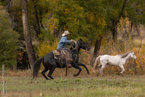 Cowboy riding horse herding with rope in hand