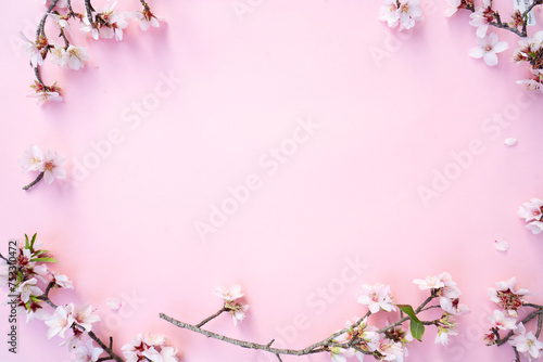 spring cherry and almond tree blossoming flowers over pink background, frame with copy space
