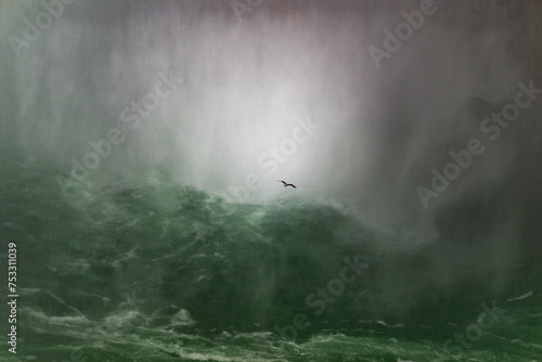A lone gull in front of Niagara Falls, New York