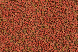 Vibrant Close-up Assortment of Varied Dry Dog Food Pellets