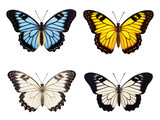 Set of butterfly isolated on transparent background, transparency image, removed background