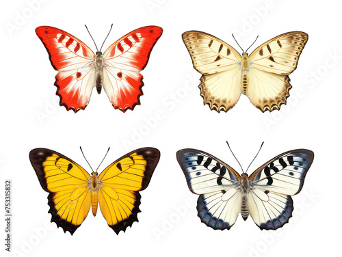 Set of butterfly isolated on transparent background  transparency image  removed background