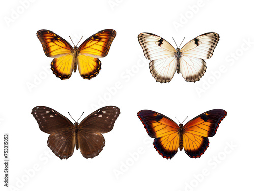 Set of butterfly isolated on transparent background, transparency image, removed background © transparentfritz