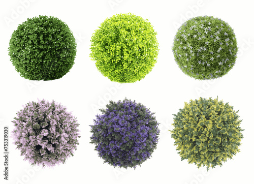 Shrubs collection on white background. Realistic shrubs set on white background
