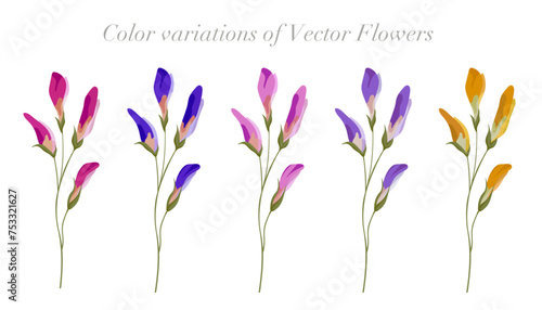 Color variation of flowers. Vector illustration.