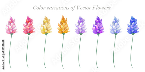 Color variation of flower set. Vector illustration.