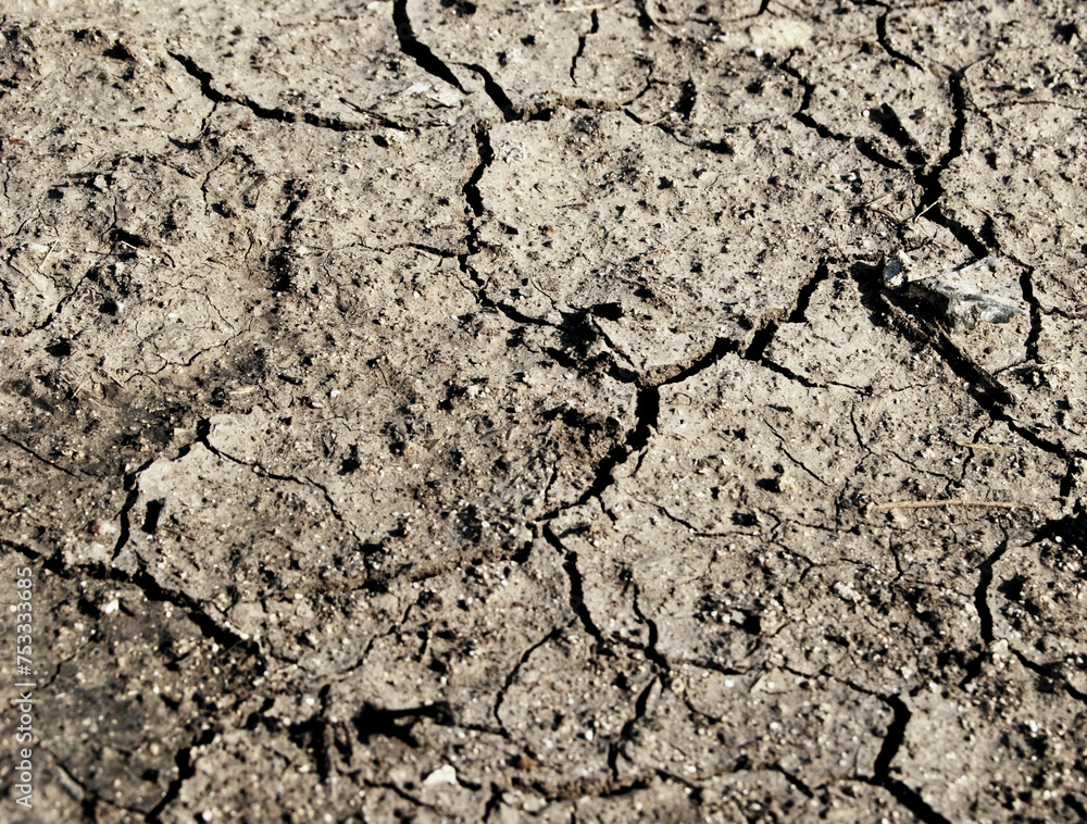 Fototapeta premium A surface of arid soil as background