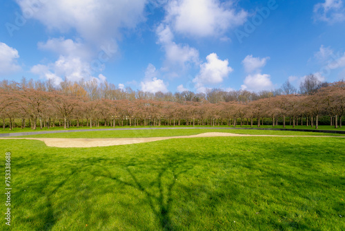 Spring landscape, Cherry trees with green grass in Bloesempark (Kersenbloesempark ) White pink Cherry blossom flower under blue sky, Sakura about to blooming, Amsterdamse Bos, Amstelveen, Netherlands. photo