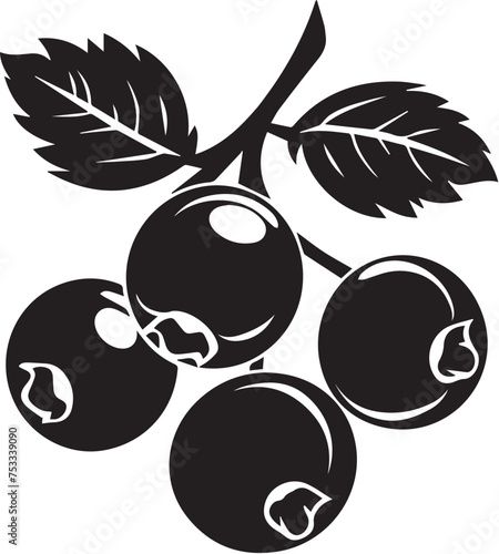Currant icon. Black berry outline flat sign, isolated white background. Symbol health nutrition, eco food fruit. Contour shape. Sweet nutritious organic dessert. Cartoon design Vector illustration