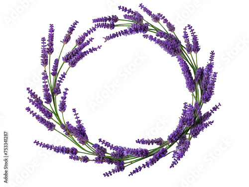 lavender round blank circle isolated on transparent background, transparency image, removed background